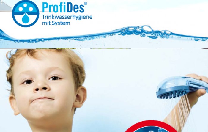 ProfiDes